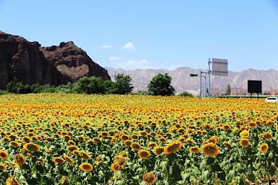 《魔兽世界》将建立一个玩家主导的社区委员会